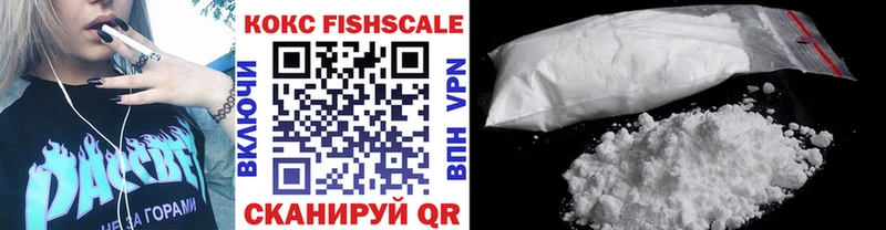 Купить закладки  Чебоксары  COCAIN 99% 