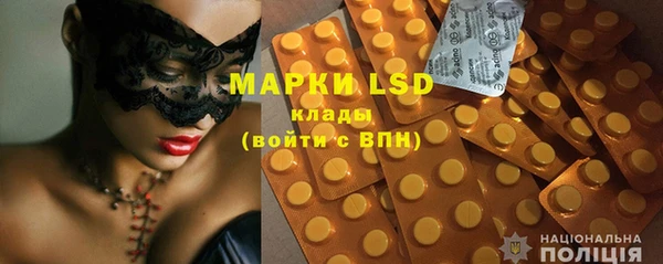 spice Инта