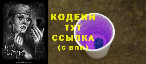 мдпв Иннополис