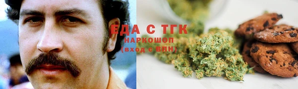 spice Инта