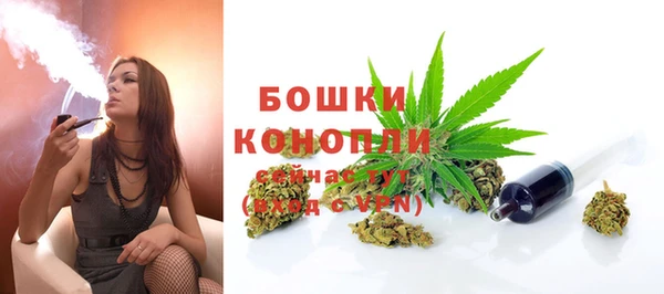прущие крисы Инсар