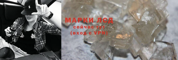 spice Инта
