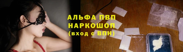 spice Инта