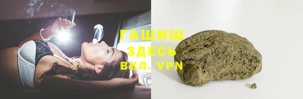 spice Инта