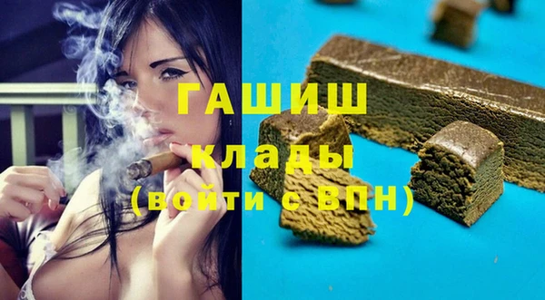 spice Инта