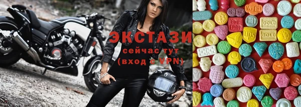 spice Инта