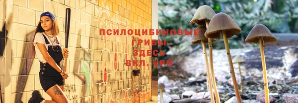 прущие крисы Инсар