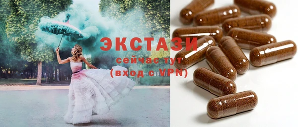 spice Инта