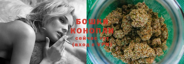 spice Инта