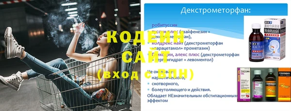 мдпв Иннополис