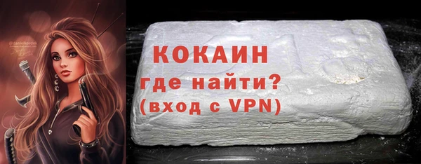 spice Инта